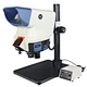 Wide Field Stereo Microscope